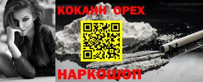 крисы Кингисепп
