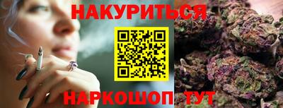 крисы Кингисепп