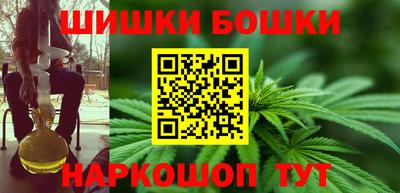 крисы Кингисепп
