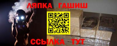 крисы Кингисепп