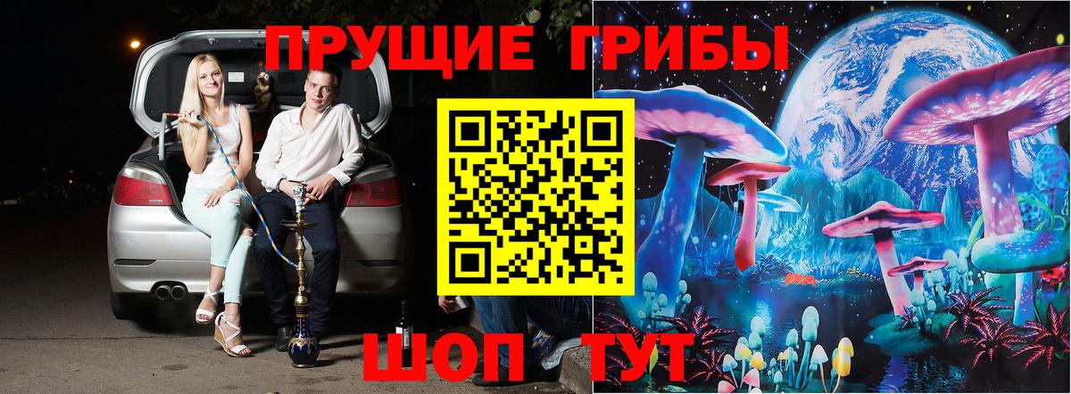 Галлюциногенные грибы Psilocybine cubensis Канаш