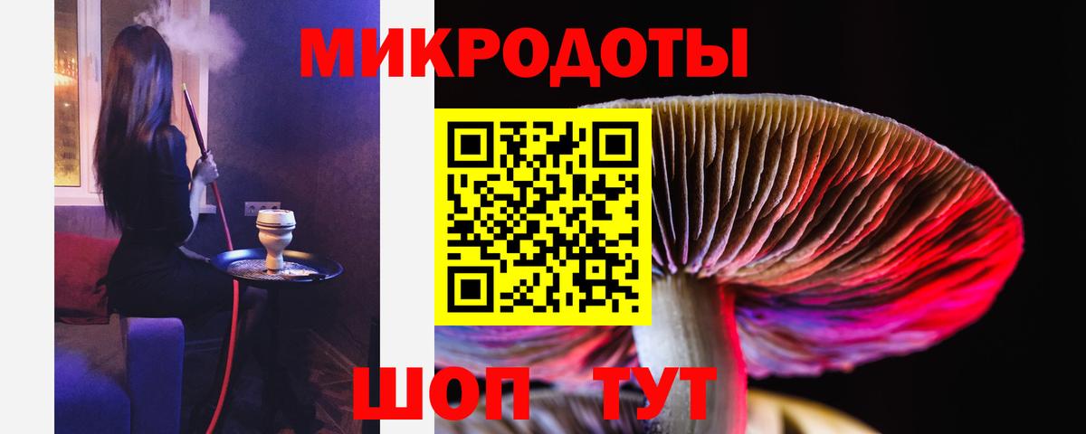 Галлюциногенные грибы прущие грибы  продажа наркотиков  Канаш  Вход с VPN  Галлюциногенные грибы мухоморы 